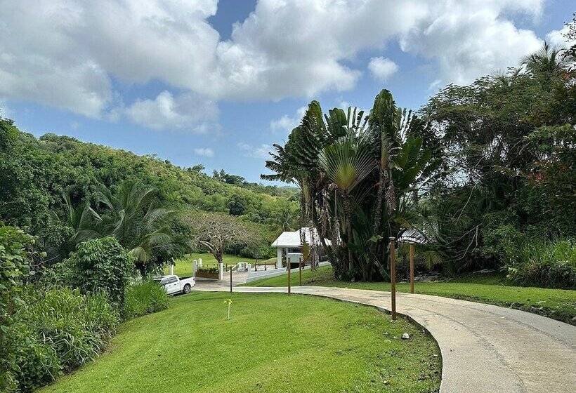 The Serene House Bed & Breakfast