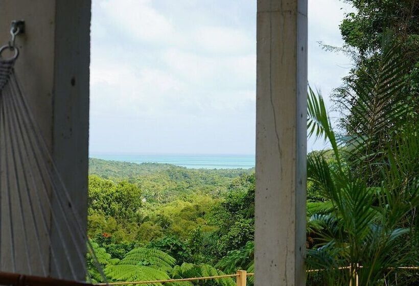 The Serene House Bed & Breakfast