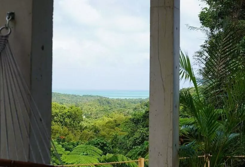 The Serene House Bed & Breakfast