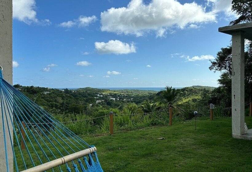 The Serene House Bed & Breakfast