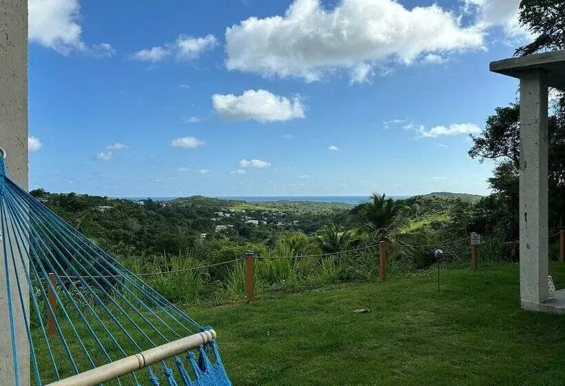 The Serene House Bed & Breakfast