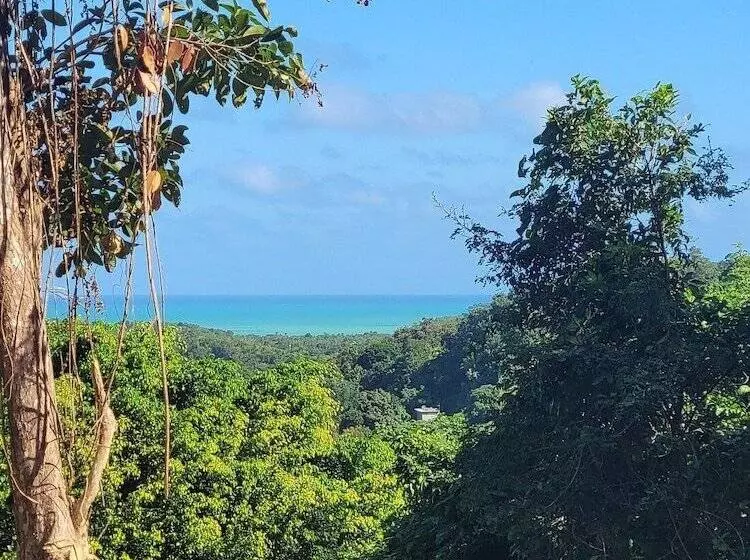 The Serene House Bed & Breakfast