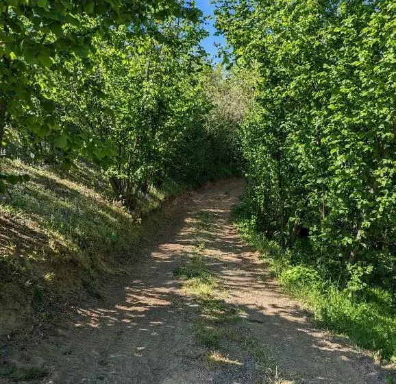 Aamiaismajoitus (B&B) Cascina Cortese