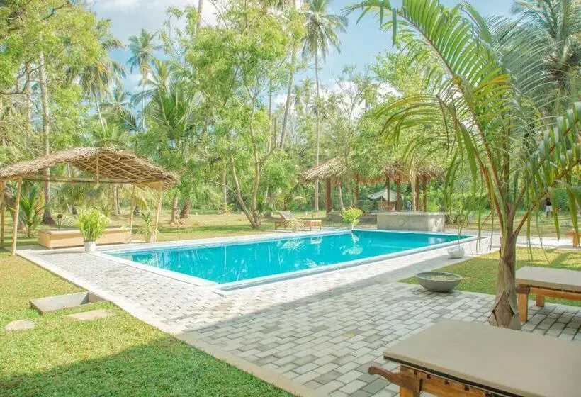 ホテル Cj S House At Mawella