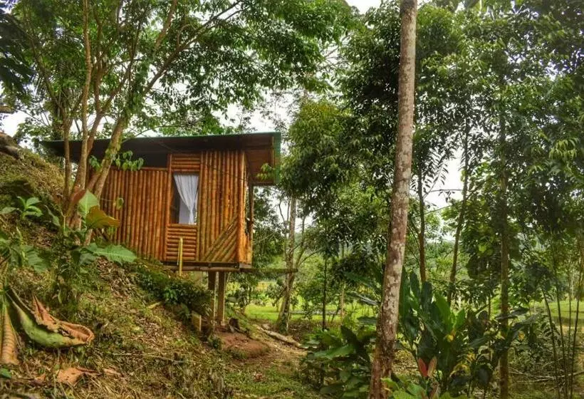 ユースホステル Donde Se Oculta El Sol