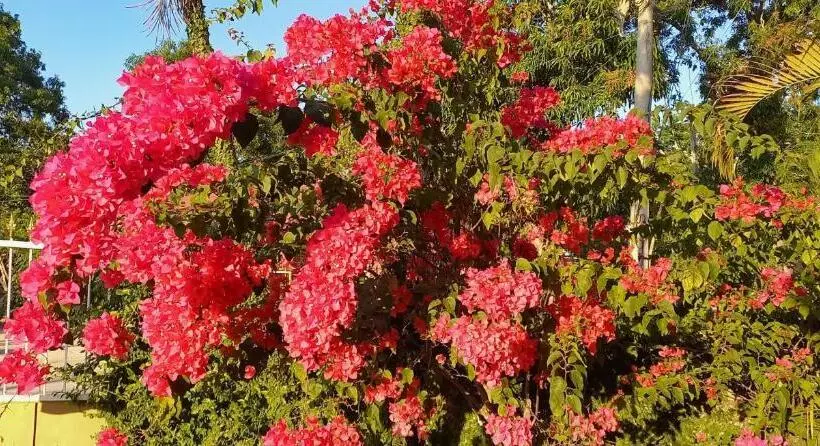 تختخواب و صبحانه Casa Mamatinda