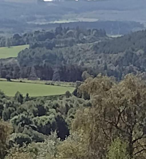 Bed and Breakfast 7 Burnside House