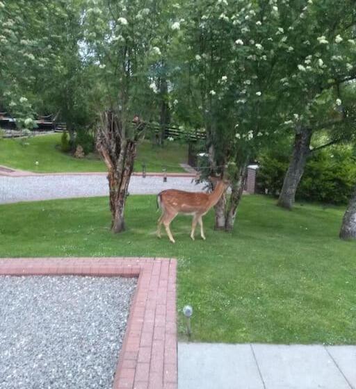 Bed and Breakfast 7 Burnside House