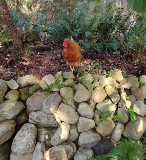 Bed and Breakfast 7 Burnside House