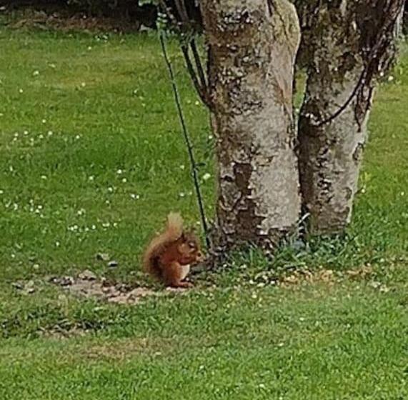 Bed and Breakfast 7 Burnside House