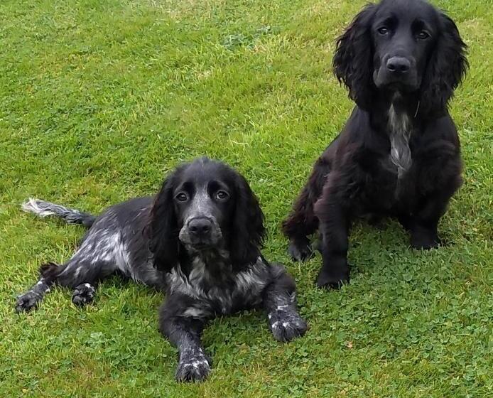 Bed and Breakfast 7 Burnside House