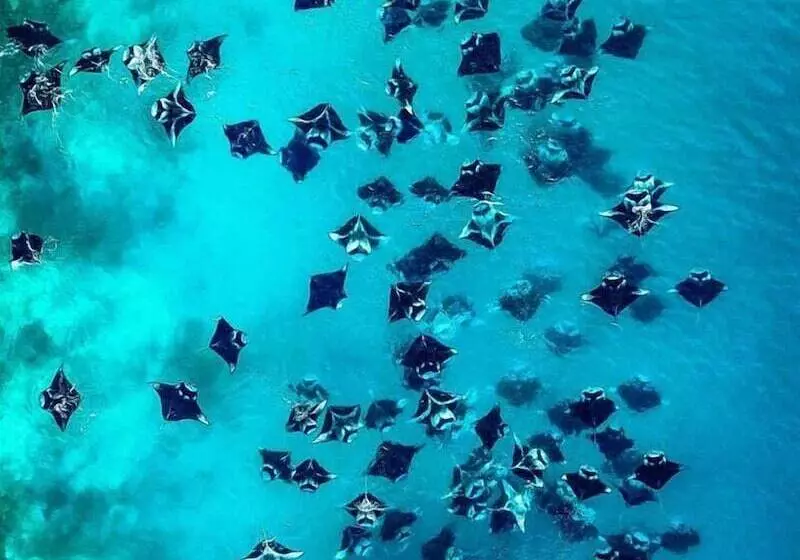 پانسیون Dhoani Maldives Guesthouse