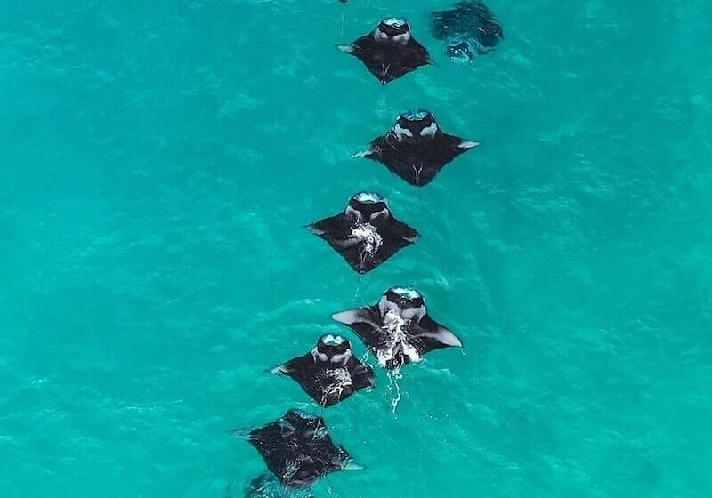 پانسیون Dhoani Maldives Guesthouse