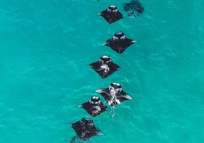 پانسیون Dhoani Maldives Guesthouse