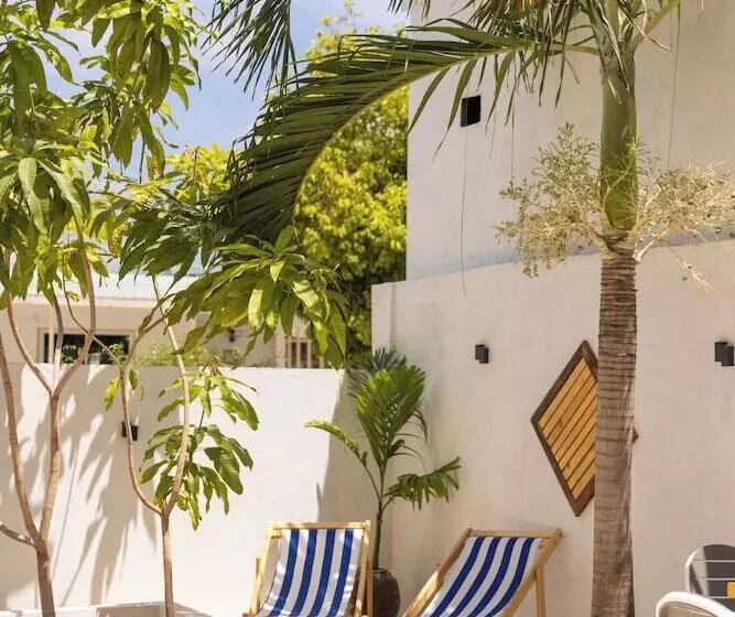 پانسیون Dhoani Maldives Guesthouse