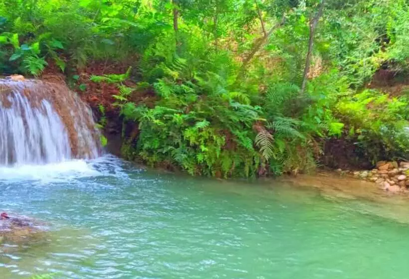 Majatalo Room In Cabin   Cabanas Sierraverde Huasteca Potosina Highland Cabin