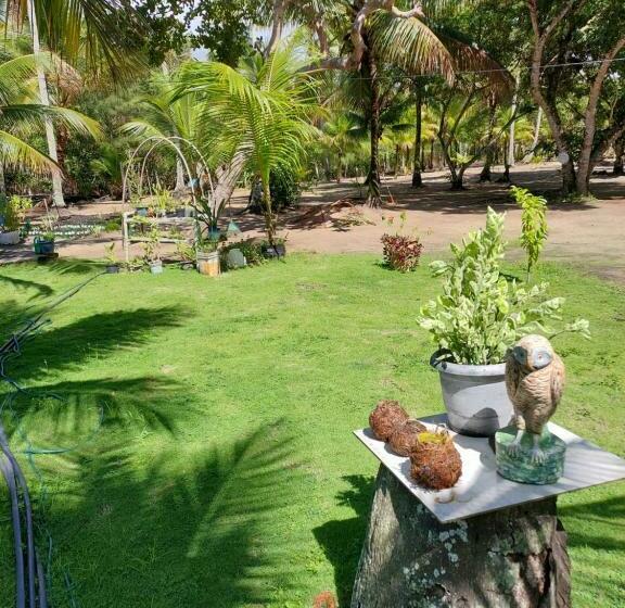 Recanto Do Luar Hostel Camping