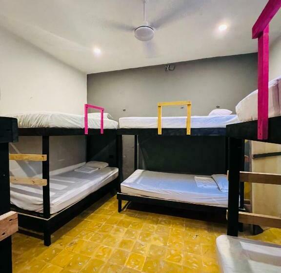 هاستل Valladolid Casa Raquel Centro Historico