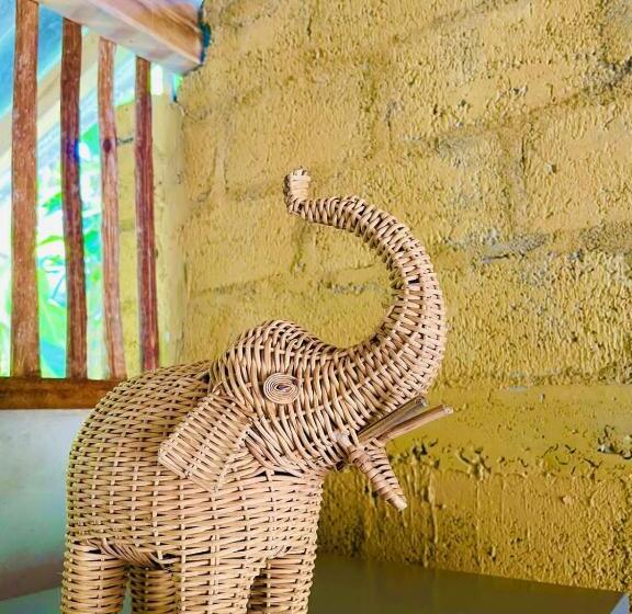 بنسيون Banana Palace Weligama