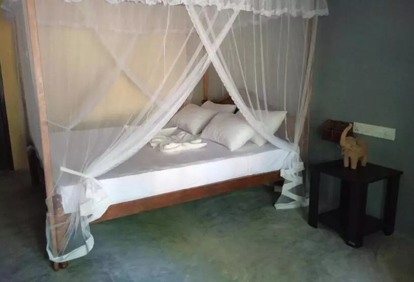 ペンション Banana Palace Weligama