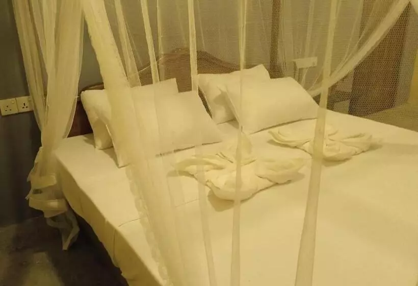 ペンション Banana Palace Weligama