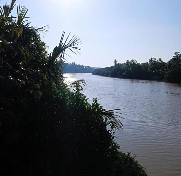 بنسيون Banana Palace Weligama