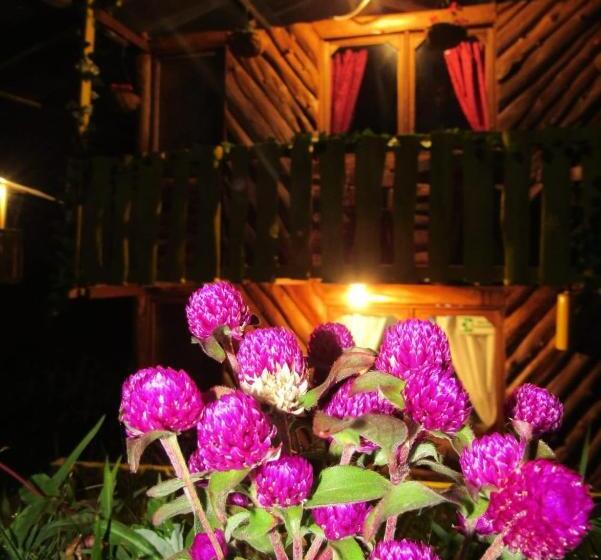 هتل Glamping/cabañas Monaco