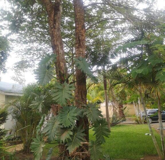 צימר Saza Adventures