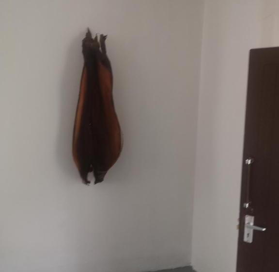 צימר Saza Adventures