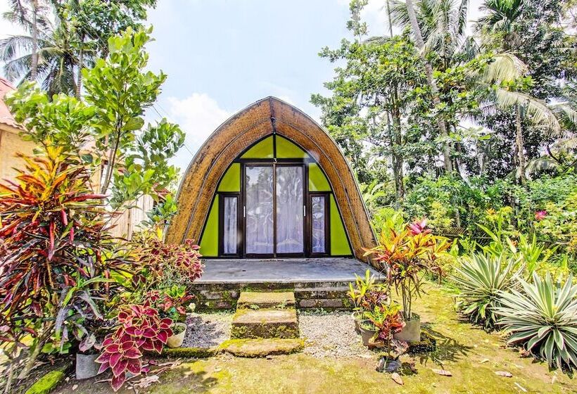 فندق Oyo 92354 Samalas Syariah Homestay