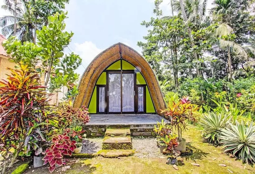 ホテル Oyo 92354 Samalas Syariah Homestay