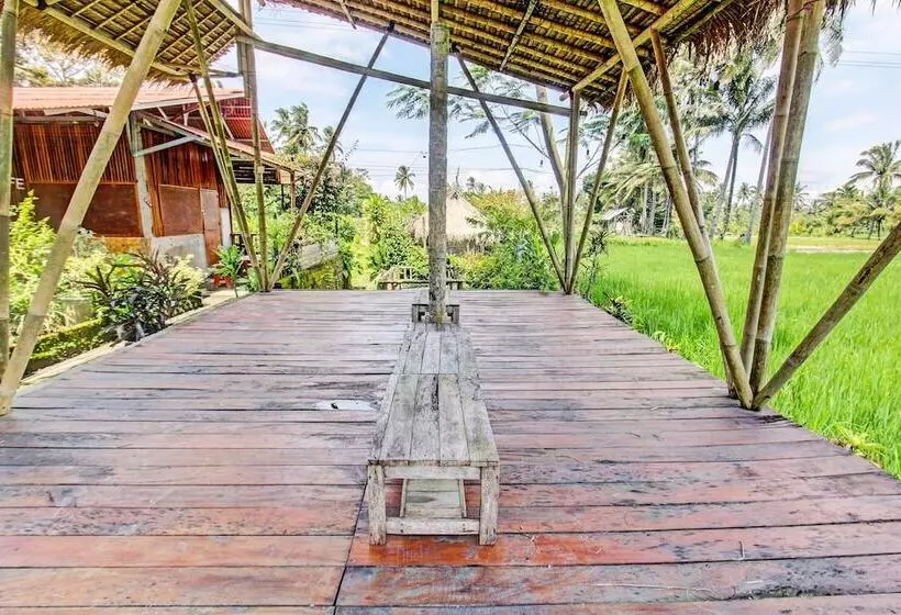 ホテル Oyo 92354 Samalas Syariah Homestay