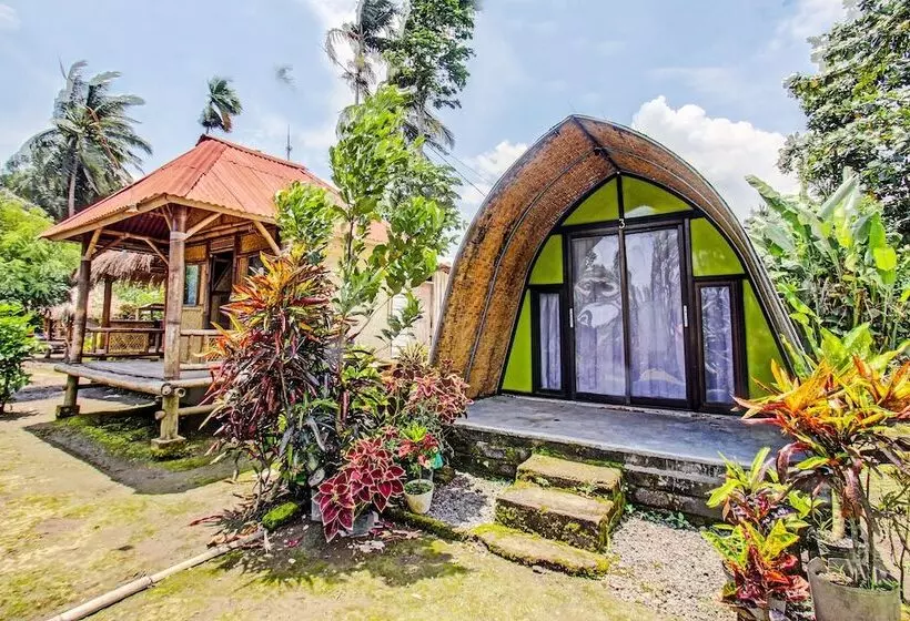 ホテル Oyo 92354 Samalas Syariah Homestay