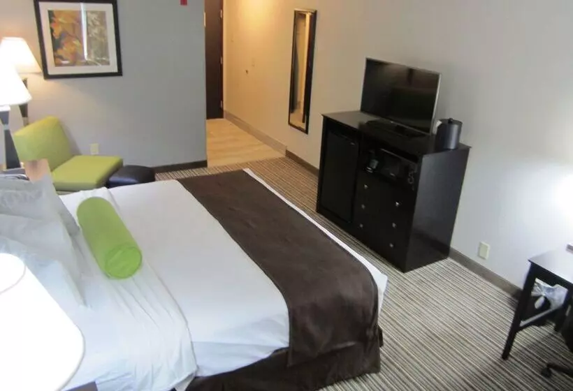 ホテル Best Western Plus Sunrise Inn