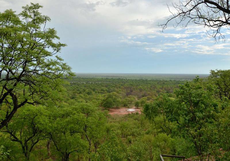 酒店 Ghoha Hills Savuti Lodge