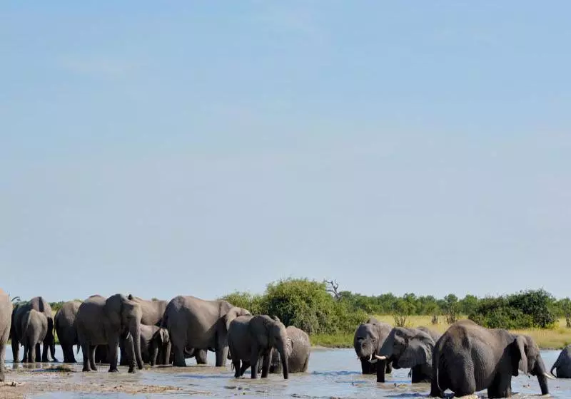 هتل Ghoha Hills Savuti Lodge