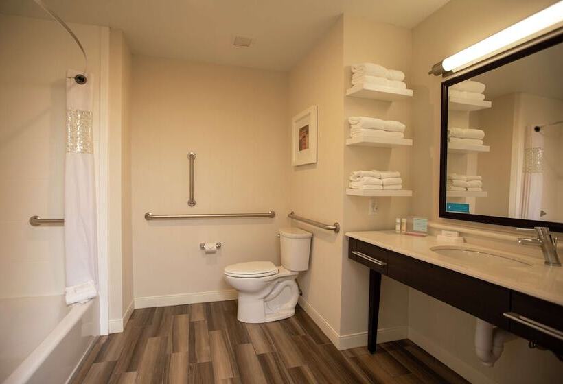 ホテル Hampton Inn Mesa Verde/cortez