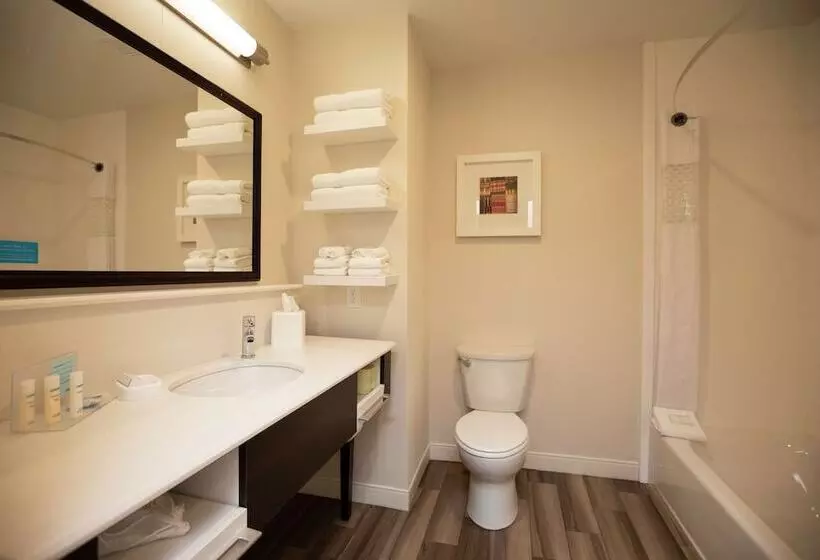 ホテル Hampton Inn Mesa Verde/cortez