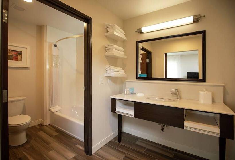 ホテル Hampton Inn Mesa Verde/cortez