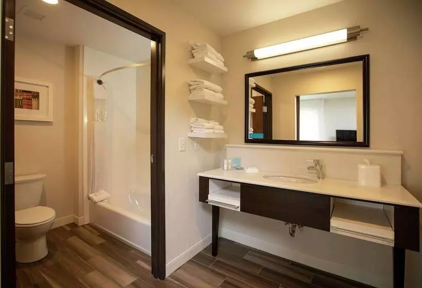 ホテル Hampton Inn Mesa Verde/cortez