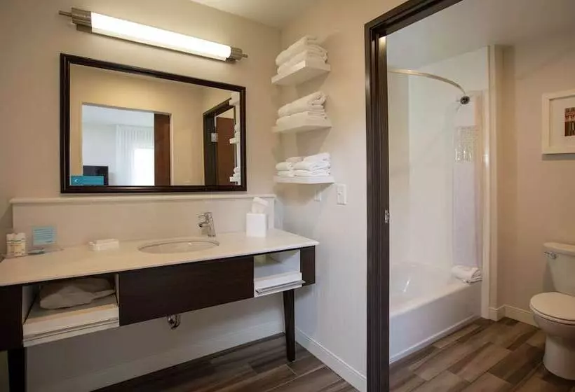 ホテル Hampton Inn Mesa Verde/cortez