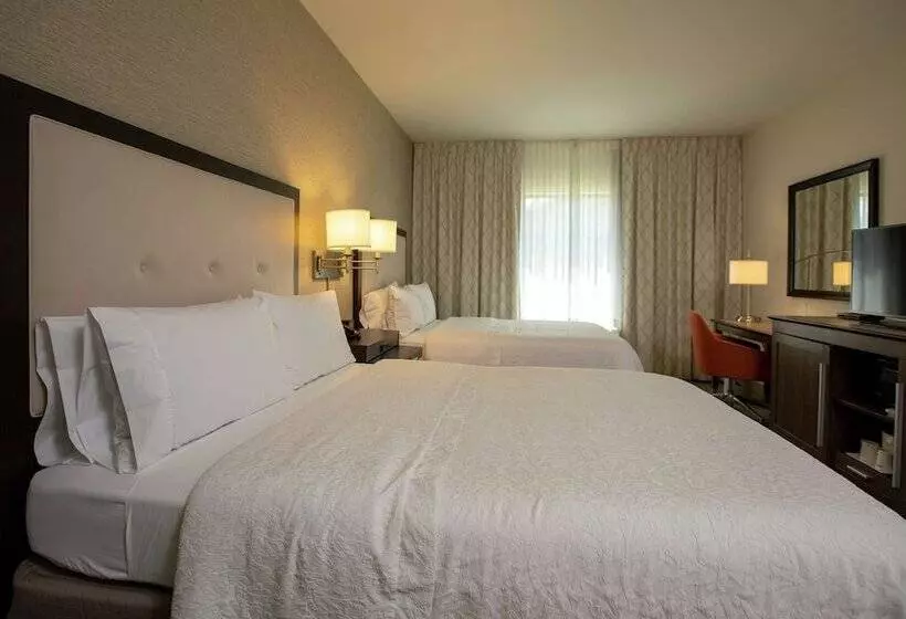 ホテル Hampton Inn Mesa Verde/cortez