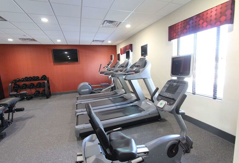 酒店 Hampton Inn & Suites Dallas Market Center