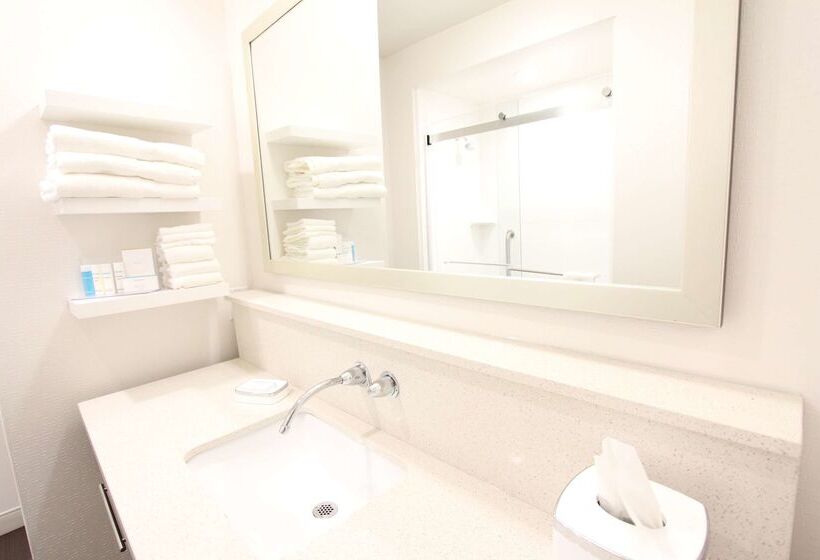 酒店 Hampton Inn & Suites Dallas Market Center