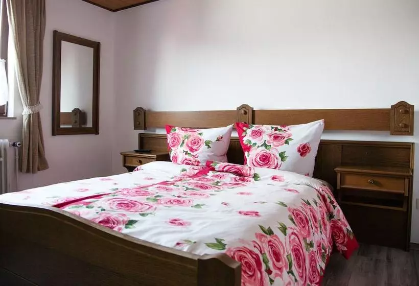 Отель Herzog S Ulsterbrücke