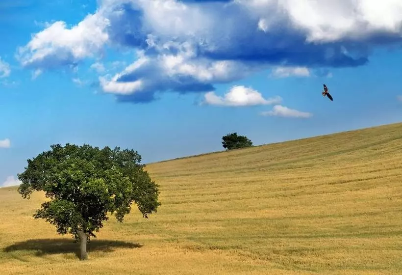 ホテル Le Masserie Del Falco