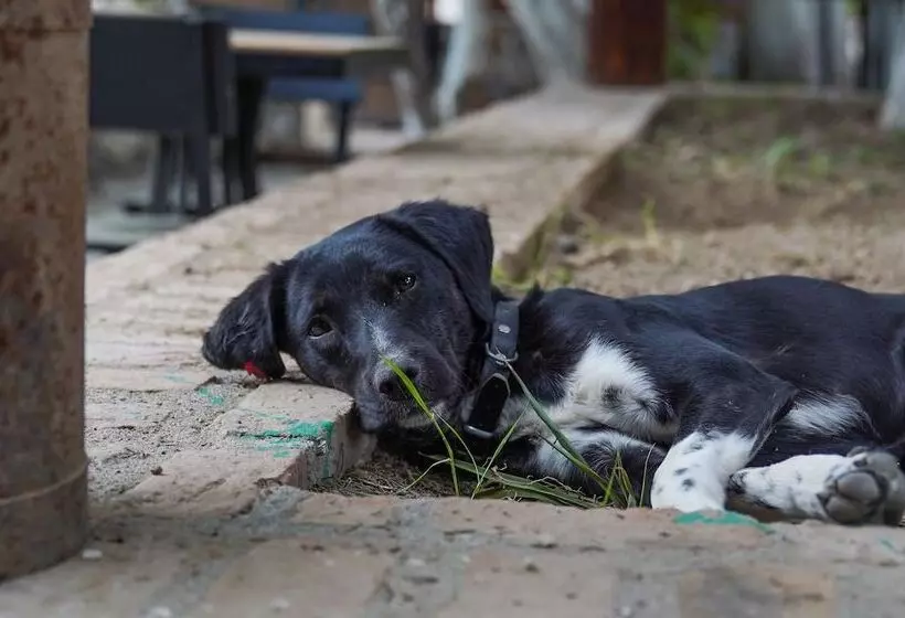 Hotelli Arabahce Houses