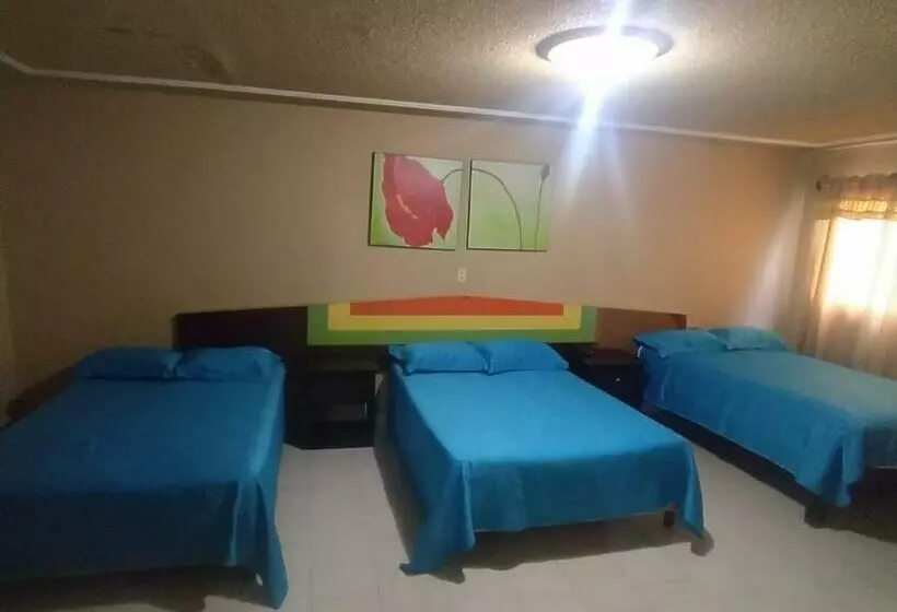 Hotelli Posada Del Rey