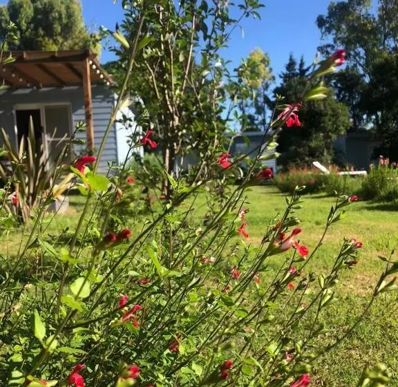 Entre Las Sierras Cabañas Tiny House