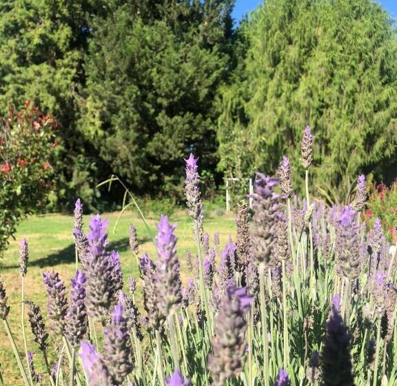 Entre Las Sierras Cabañas Tiny House